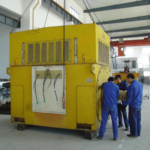 Y800-6
